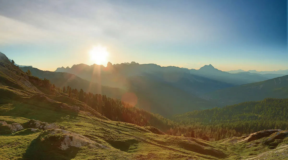 Alpine meadow at sunrise with forested mountains and golden light