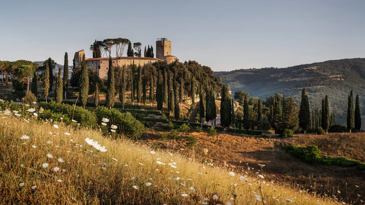 A stone tower on a cypress lined hilltop, seen across a wildflower meadow at golden hour
