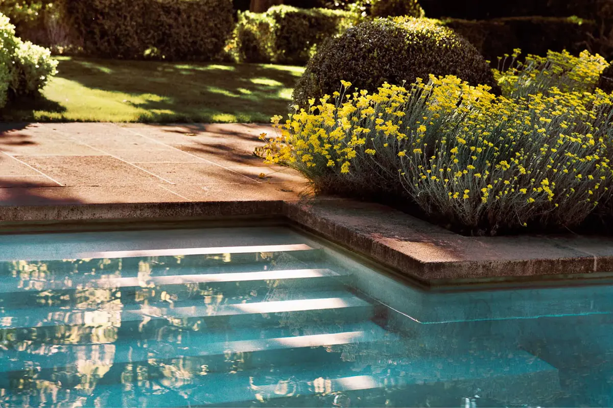 Garden pool edge with bright yellow flowering shrubs and shaded lounging area