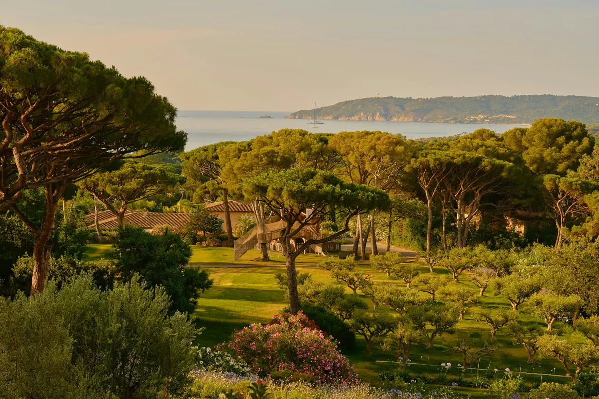 Expansive green gardens with scattered trees sloping toward distant coastline at golden hour