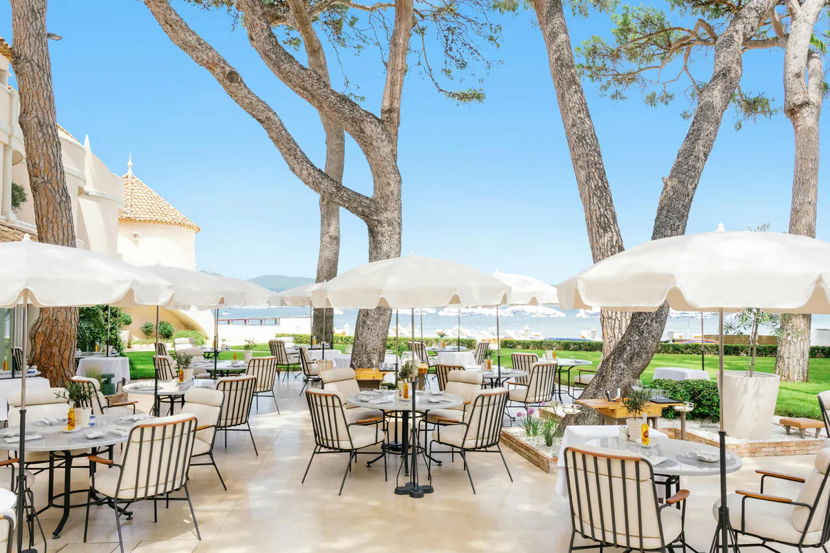 Terrace with tables under trees and sea backdrop