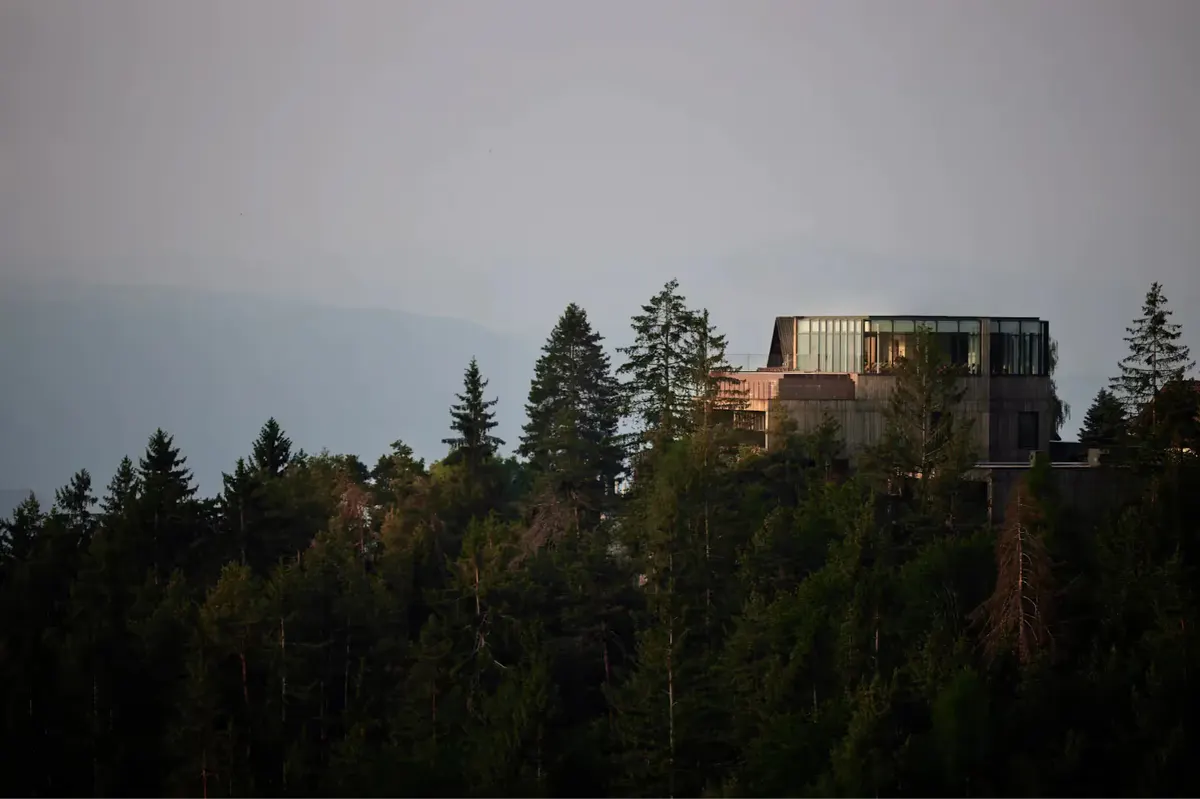 Modern wooden structure on a hillside surrounded by dense evergreen forest