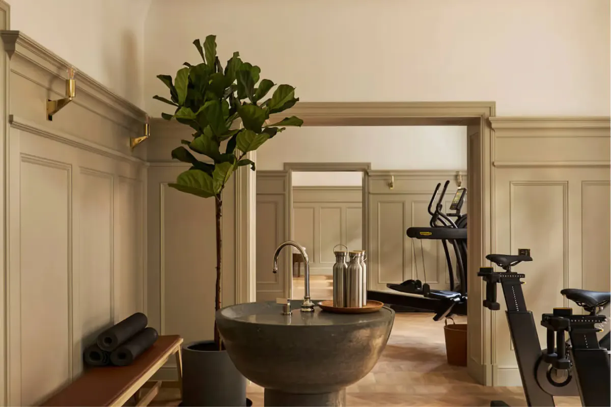 A light entry with a large mirror, large plant in stone planter, and fitness equipment visible in background