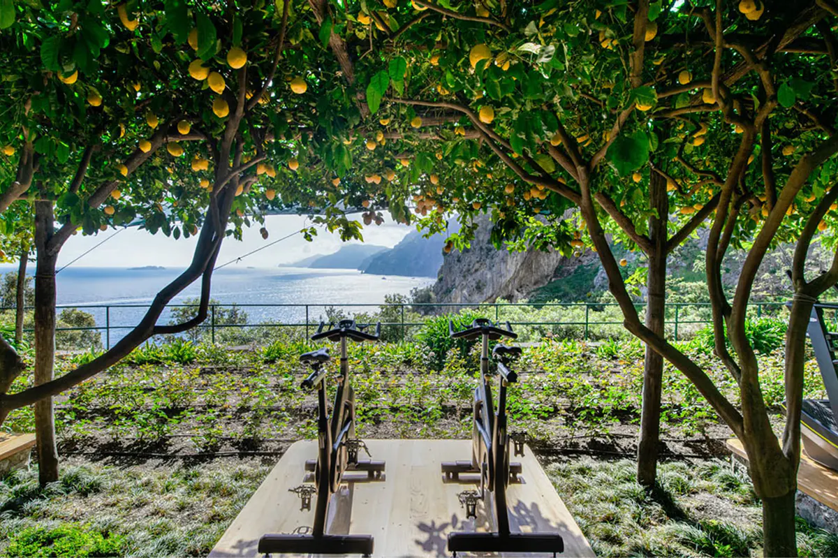 Modern gym with equipment, wooden finishes, white columns, and coastal light