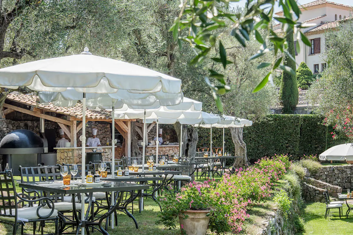 Outdoor café beneath century-old olive trees with white umbrellas