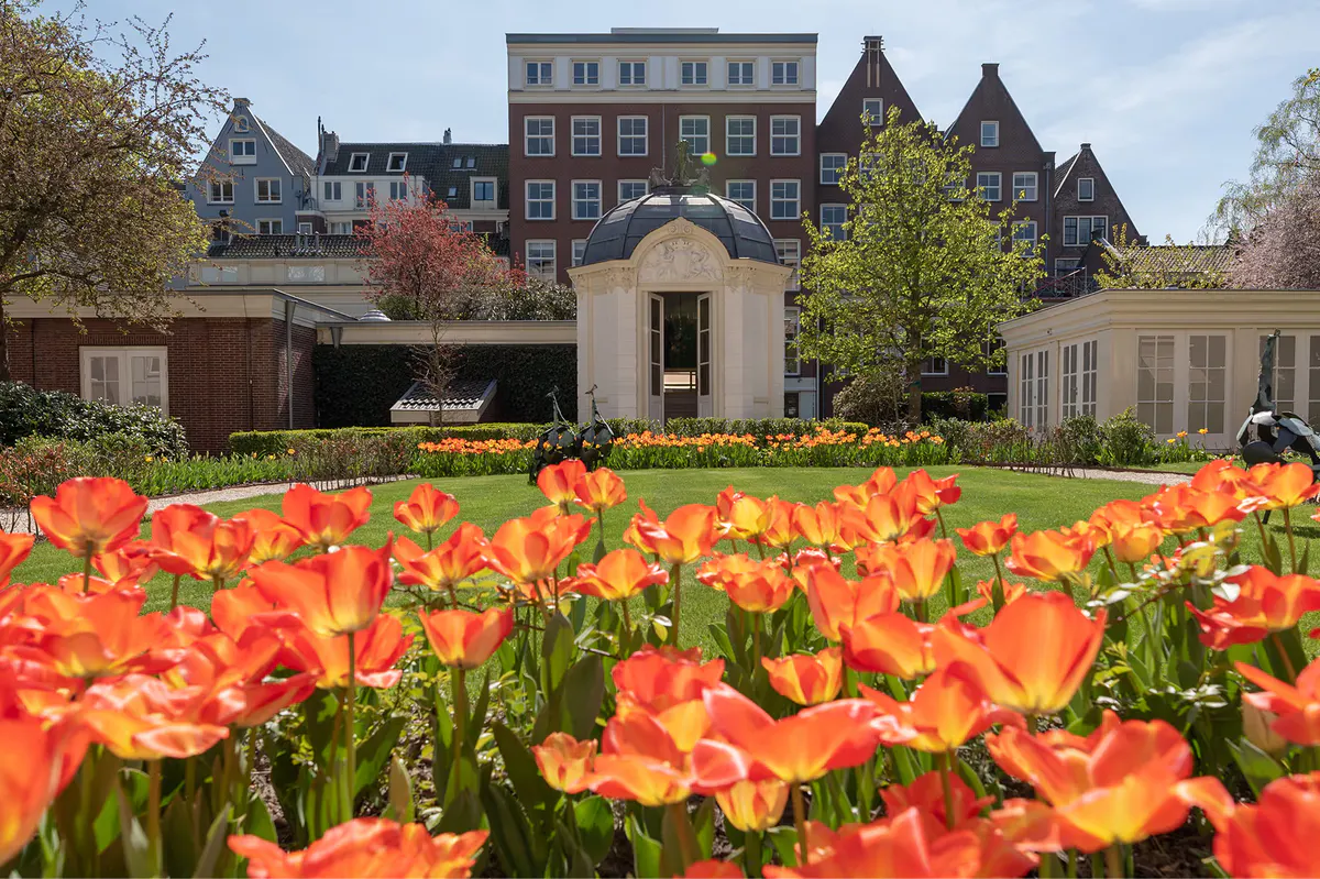 A private garden with red and orange tulips in full bloom beneath the palace facades and spring foliage