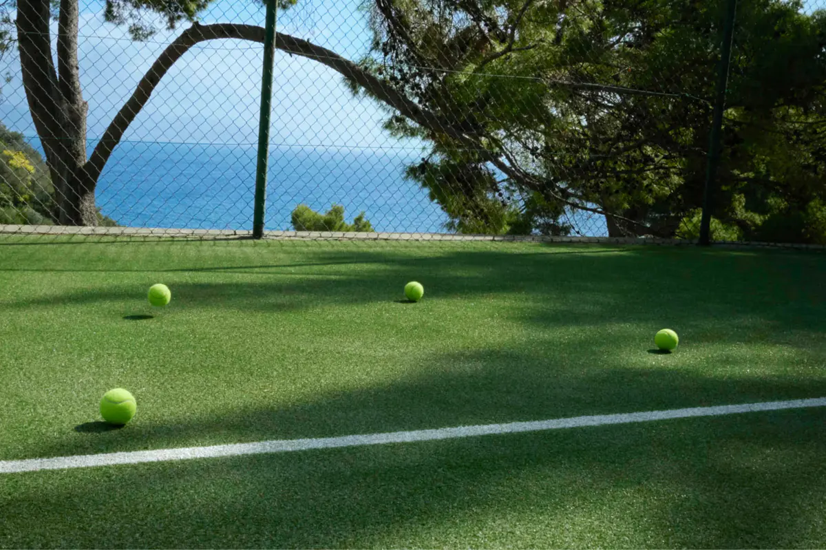 A manicured lawn with tennis court markings and sea view framed by trees
