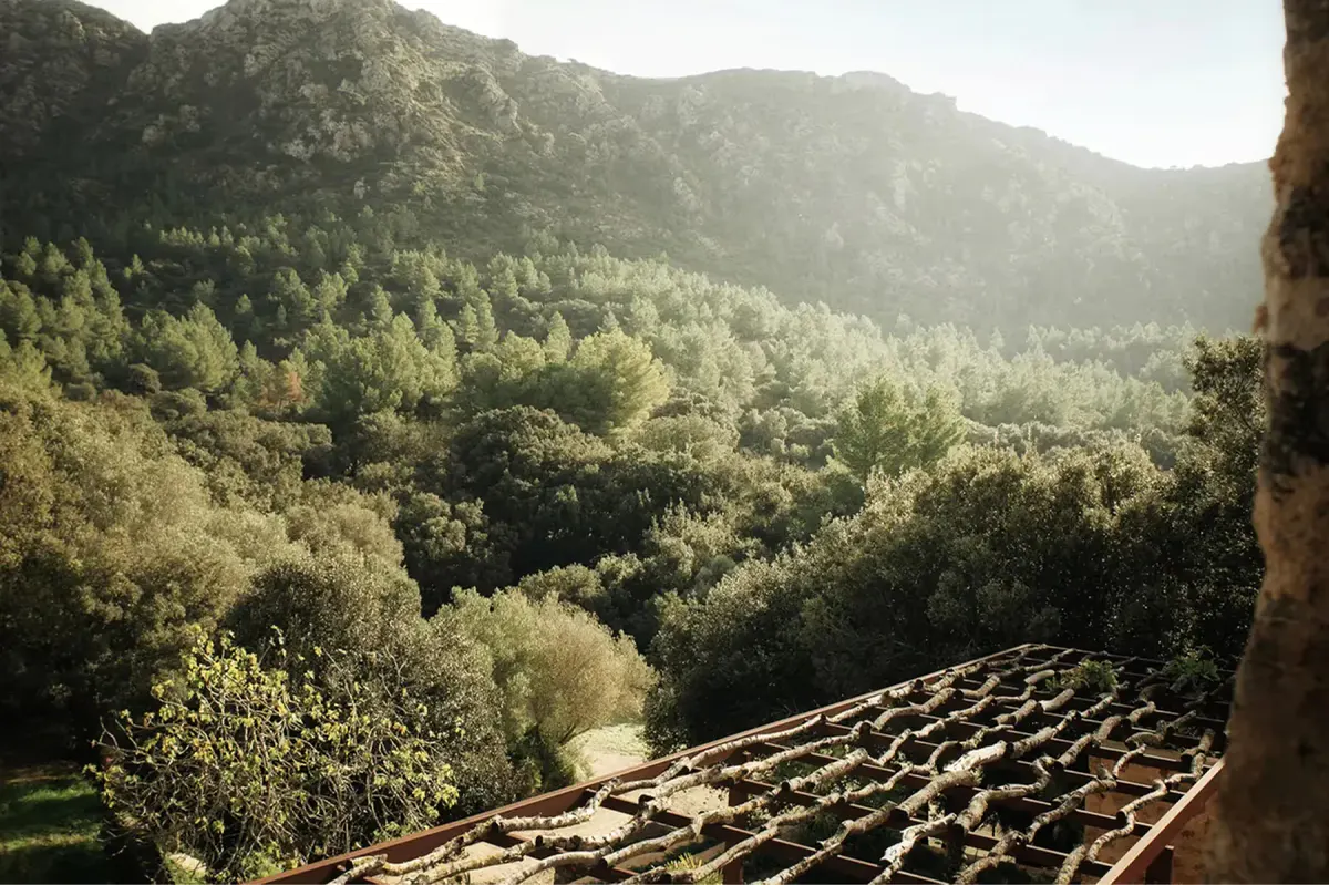 Forested hillside view from estate building with layered Mediterranean vegetation and distant valleys