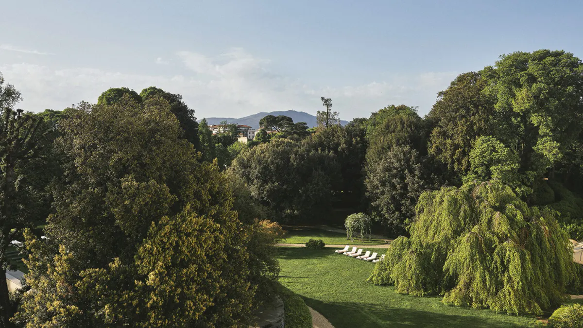 Garden landscape with mature shade trees and neatly trimmed hedgerows under clear sky