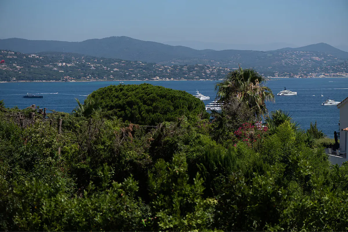 Tree-framed view of the Mediterranean coastline from the gardens