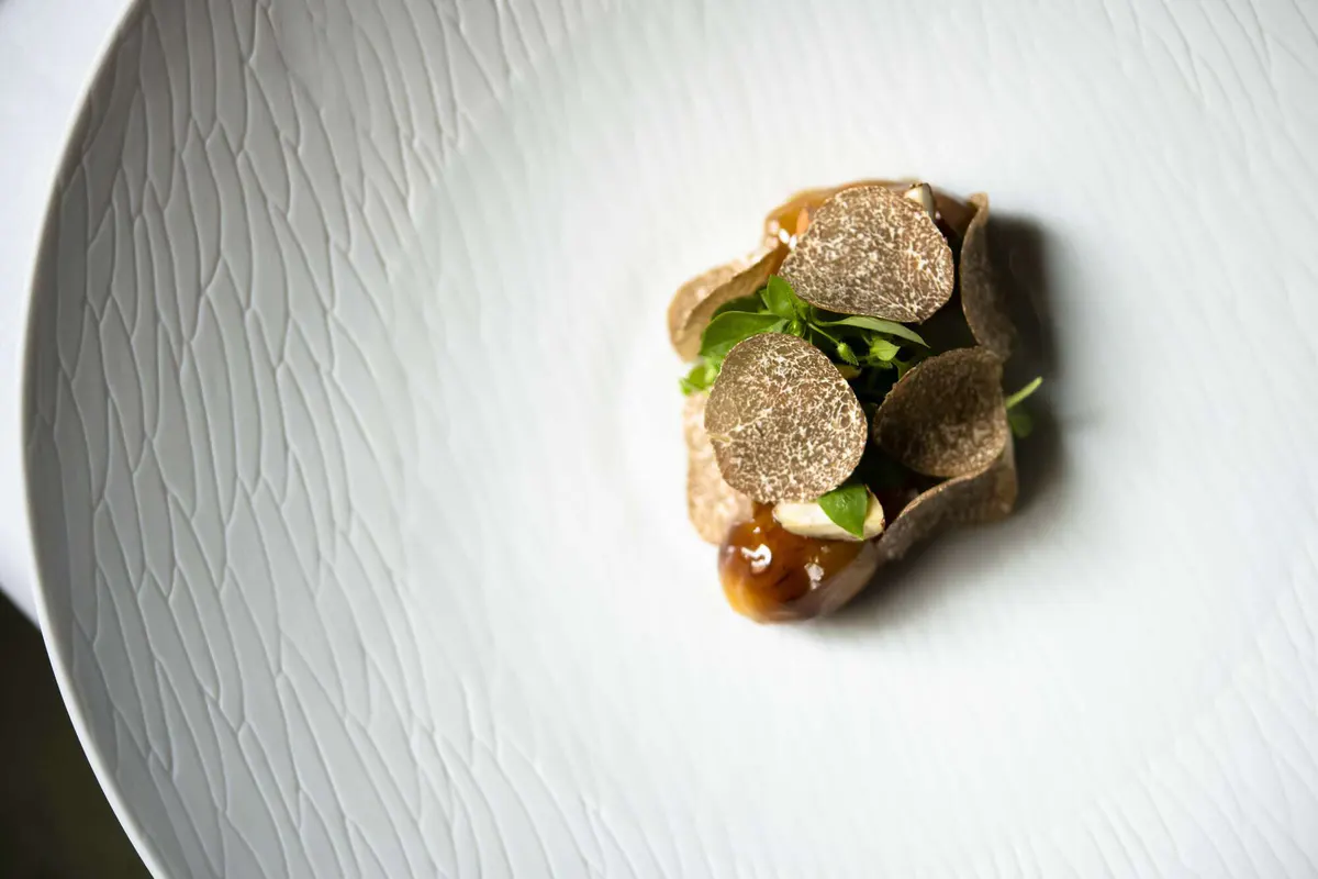 A plated dish with green garnish and sauce on white porcelain