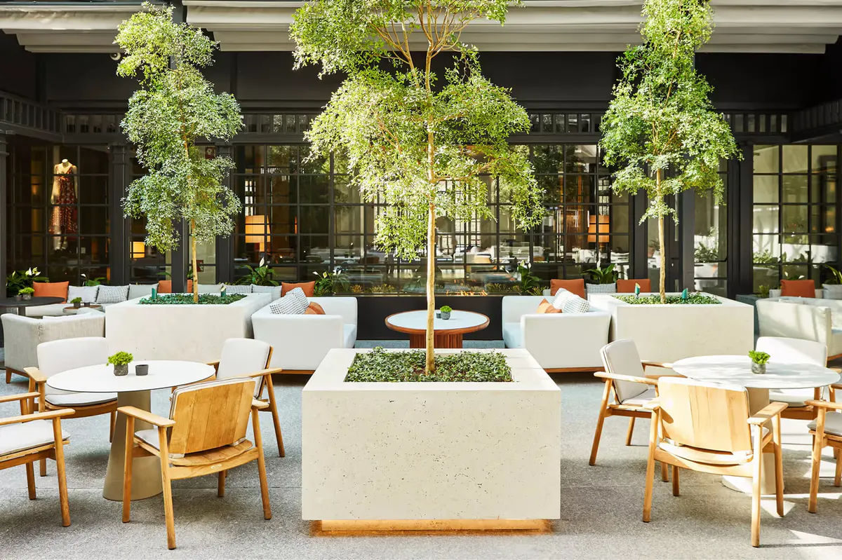 The hotel courtyard with lush hanging trees, white marble seating, and wooden chairs