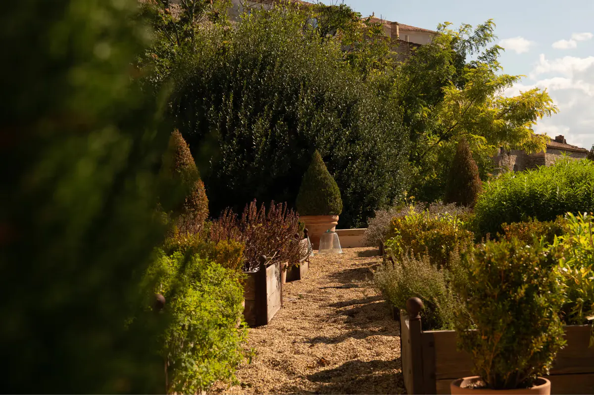 Tree-lined pathway with topiary hedges leading to a dining terrace