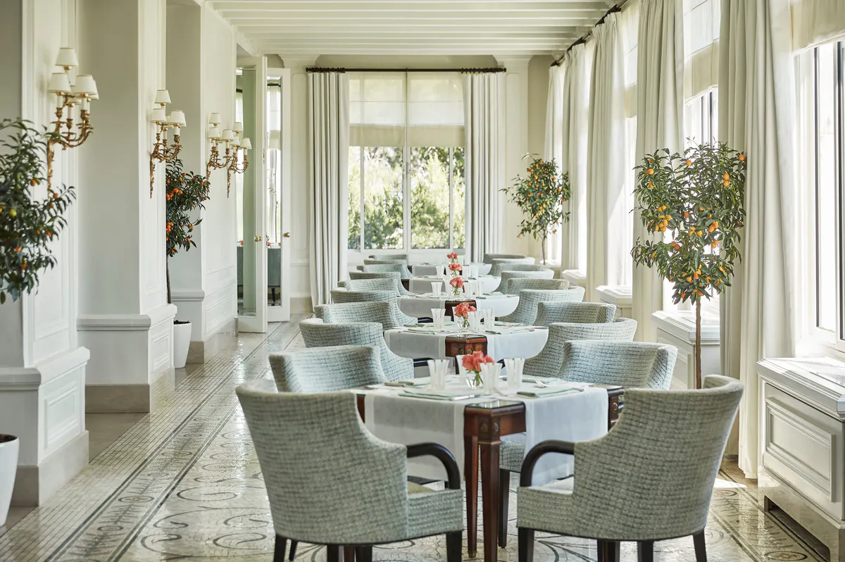 Elegant dining room with tall windows, potted plants, and tables set in soft light