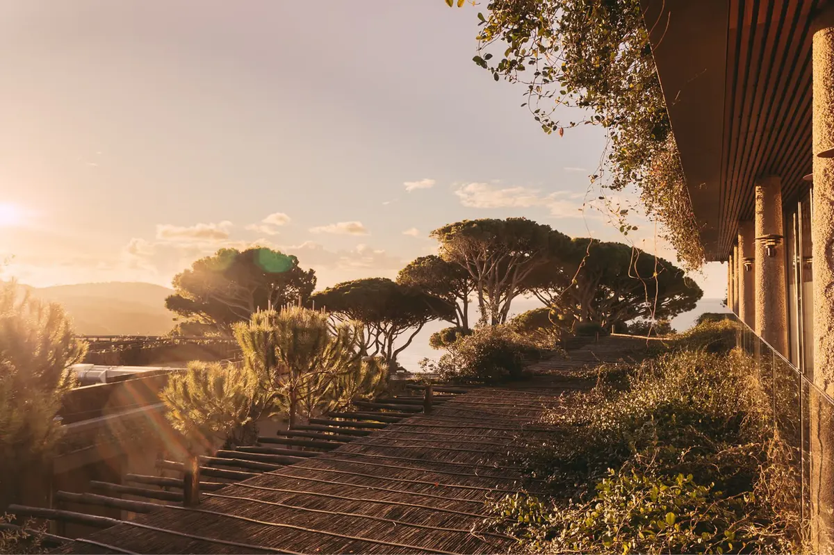 Wooden terrace at golden hour with pine trees and distant sea