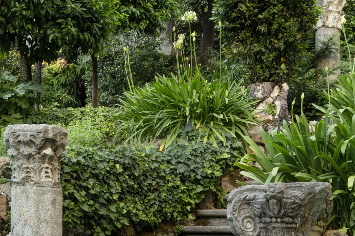Garden passage with stone ornaments and layered plantings