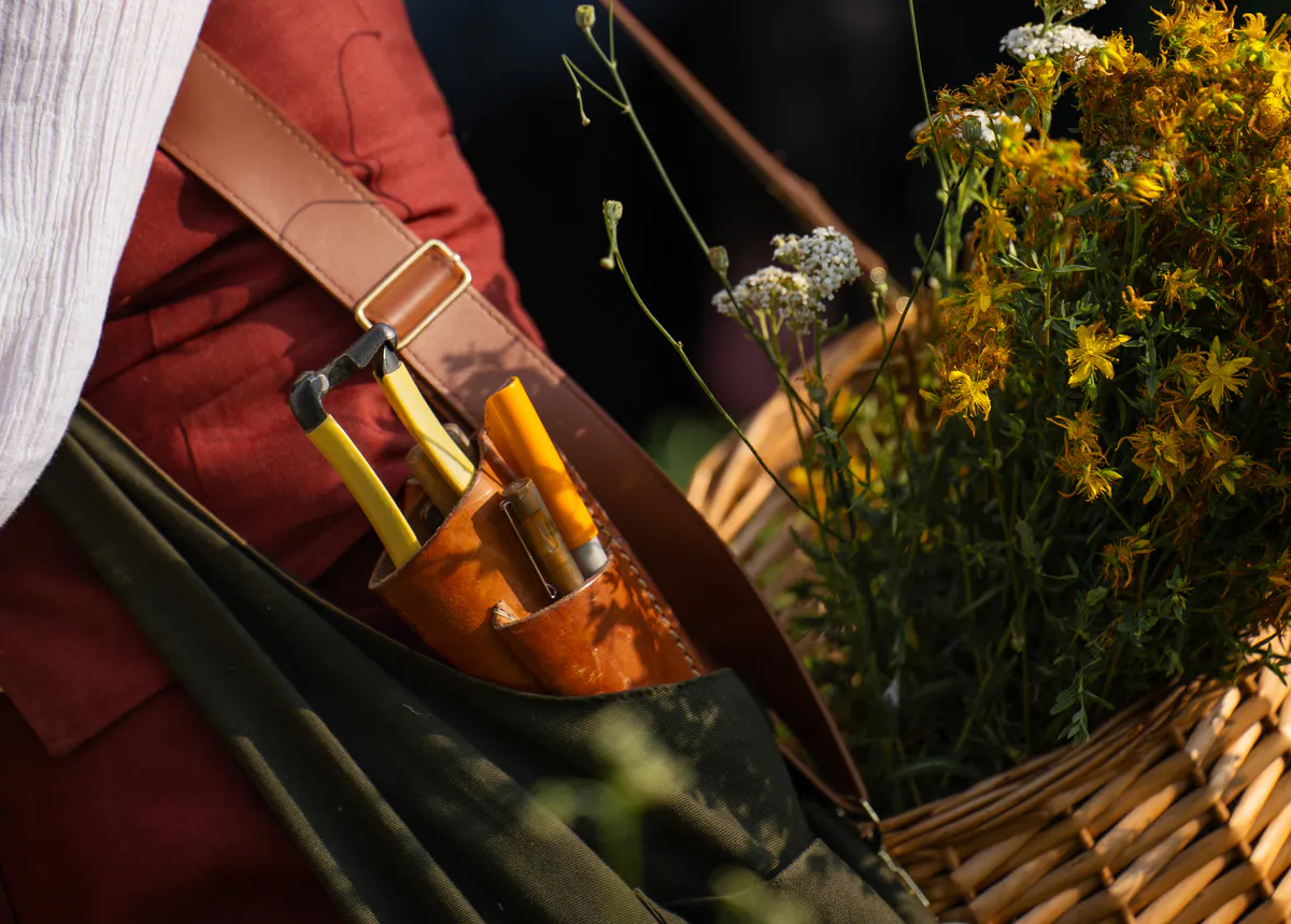 A close up of leather tool pouches and pruning shears against wildflowers and a canvas apron