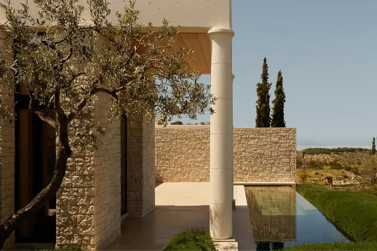 Terraced garden space with olive trees and modern stone architecture