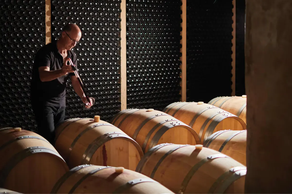 Wine cellar with wooden barrels and person examining vintage production