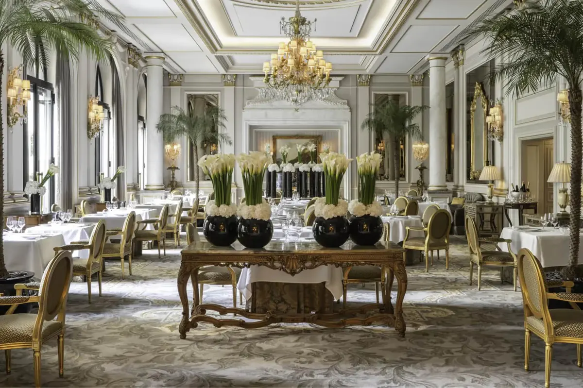 A classical dining room with tall ceilings, palm plants, and elegant table settings