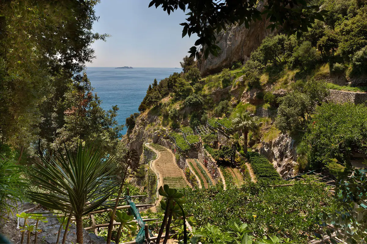 Terraced lemon grove cliffs descend to turquoise cove with stone stairways and Mediterranean sea views