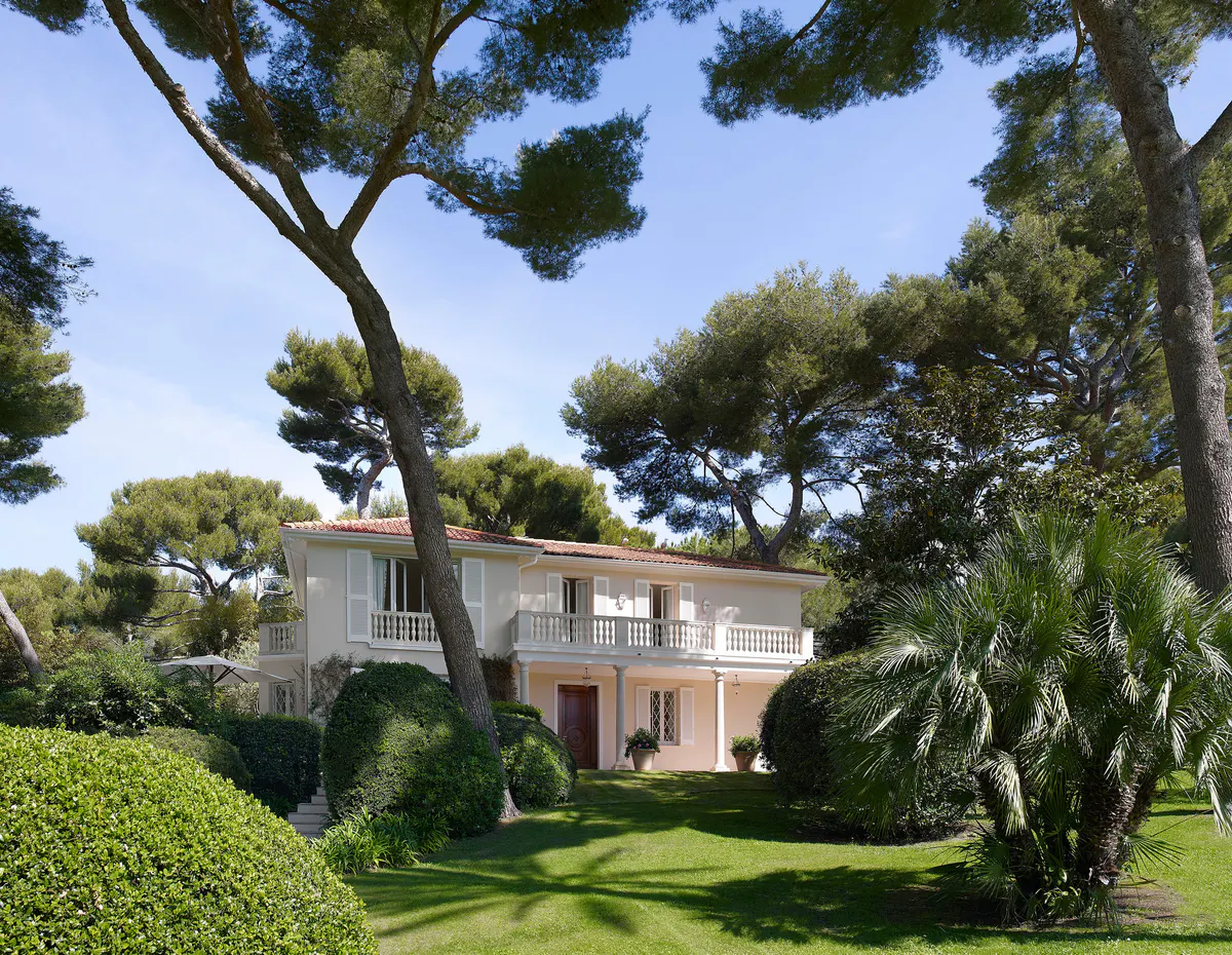 A villa exterior set under stone pines with a linear swimming pool and terracotta paving