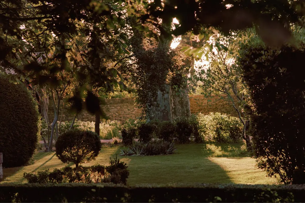 Tree-lined garden path with manicured lawn and topiary in dappled golden light