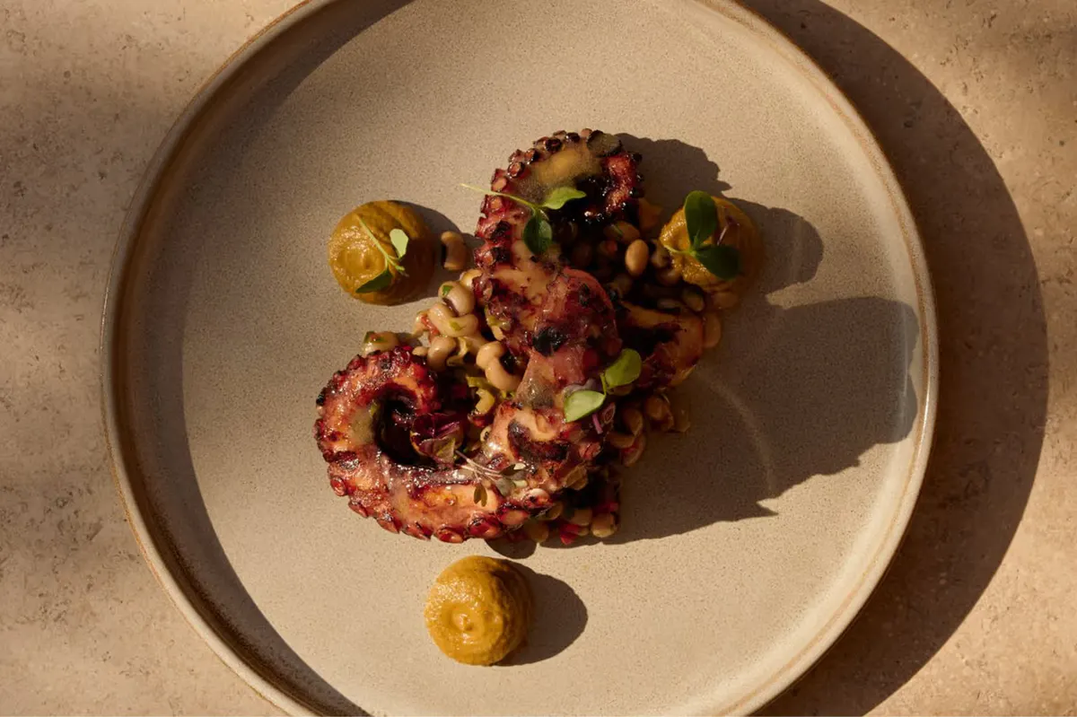 Plated dish with garnish and subtle shadow play on neutral surface