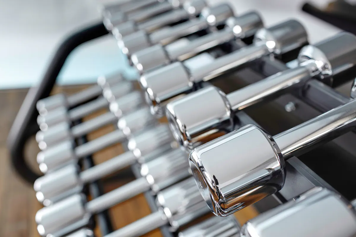 Row of professional fitness dumbbells at the gym