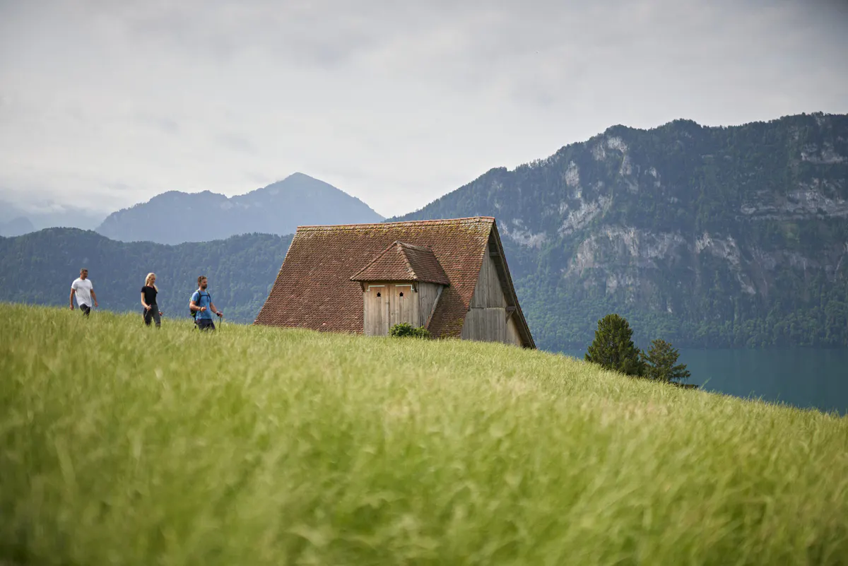 Three hikers on grassy Alpine hillside beside wooden barn-style structure and mountain scenery
