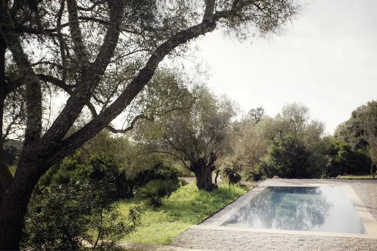 Linear saltwater pool edged in stone, reflecting ancient olive trees under clear Mallorcan sky