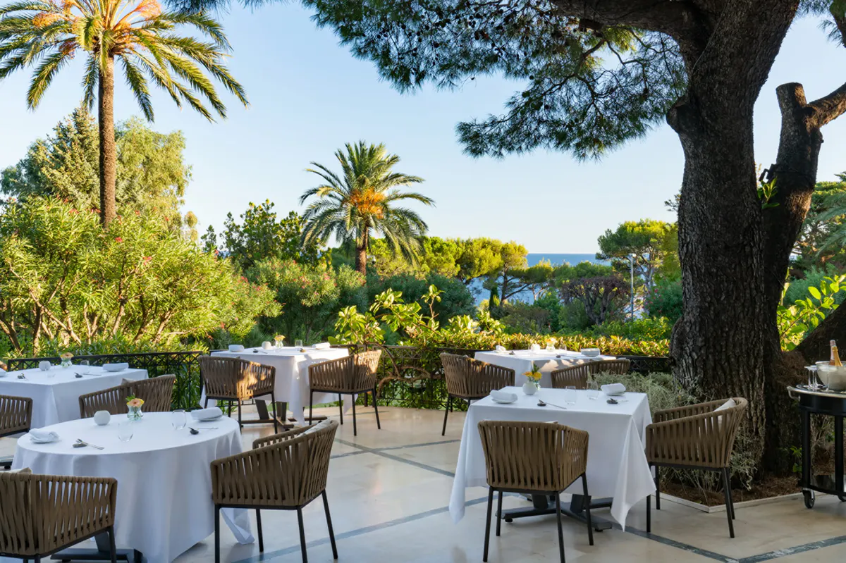 Garden dining with white tablecloths beneath towering palms and mature trees