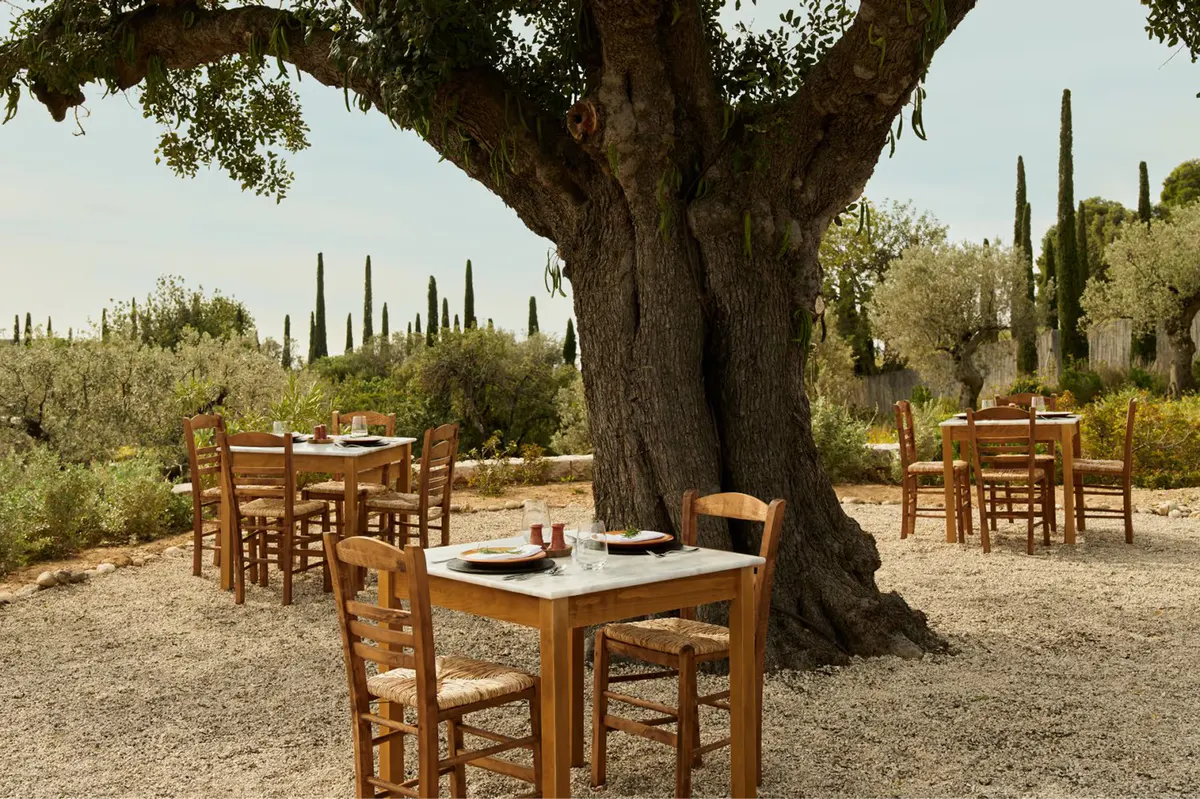 Outdoor dining table set under olive trees with Mediterranean views