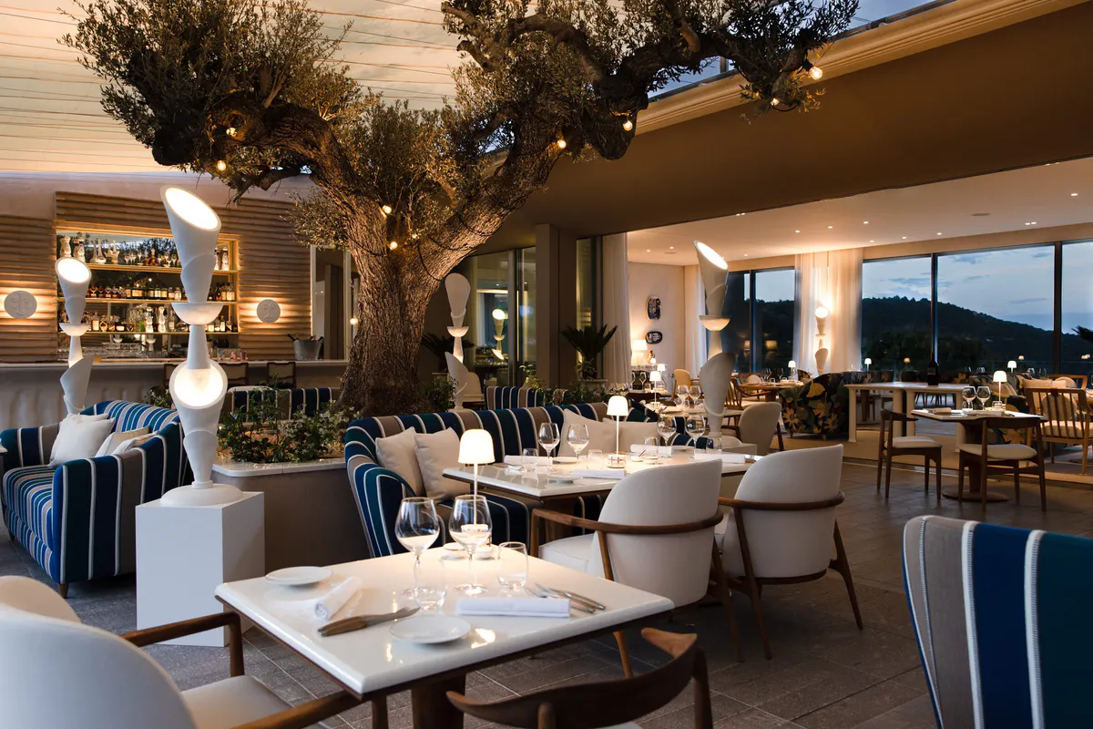 Elegant dining space with historic olive tree and sunset views
