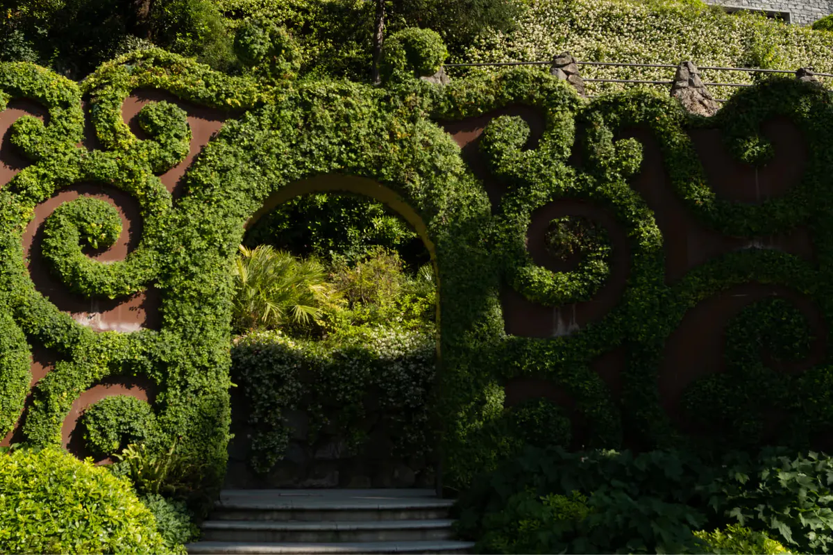 Topiary hedging in decorative spiral forms with stone buildings visible through vegetation