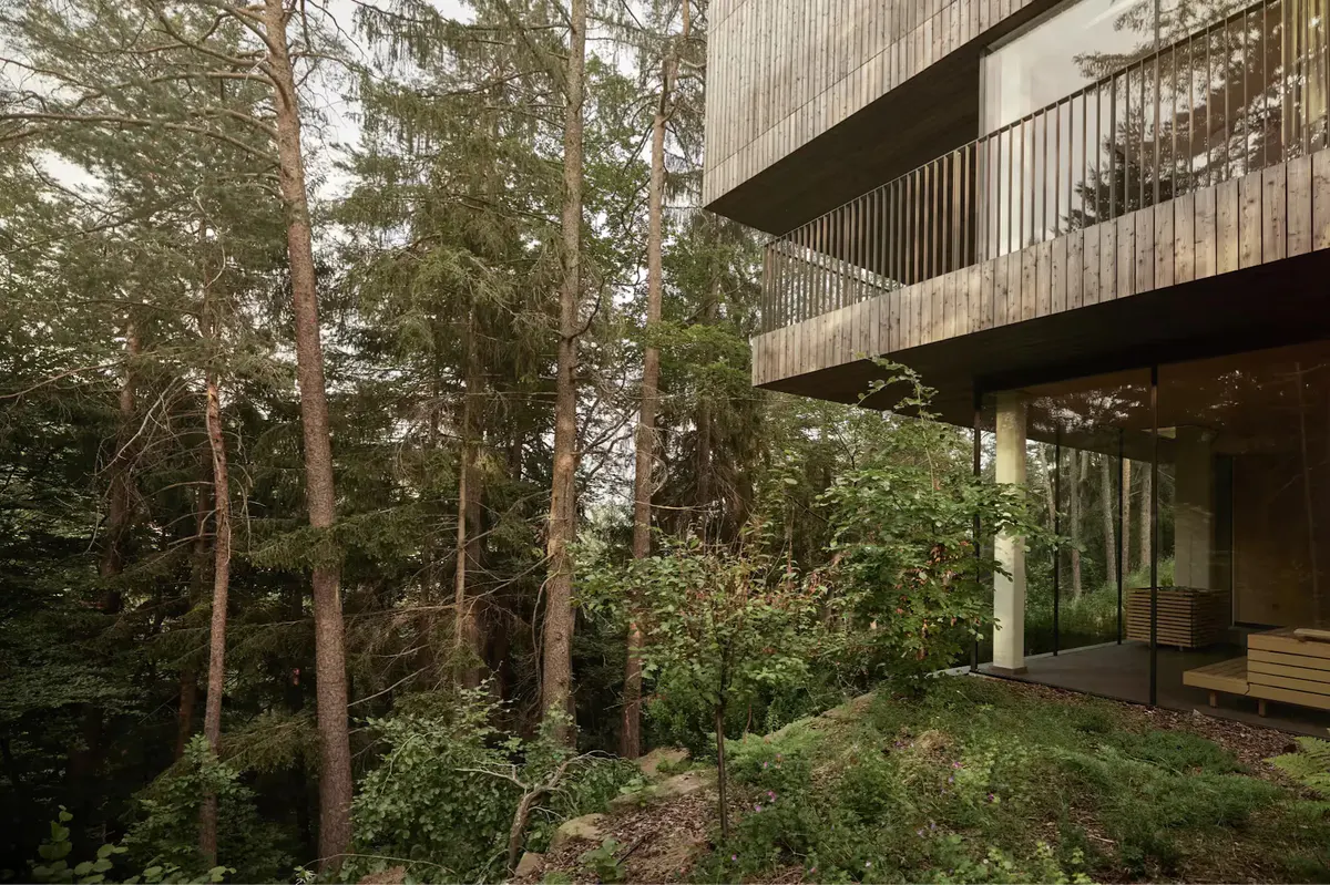 Forest-setting structure with wooden exterior and support beams amid lush green vegetation