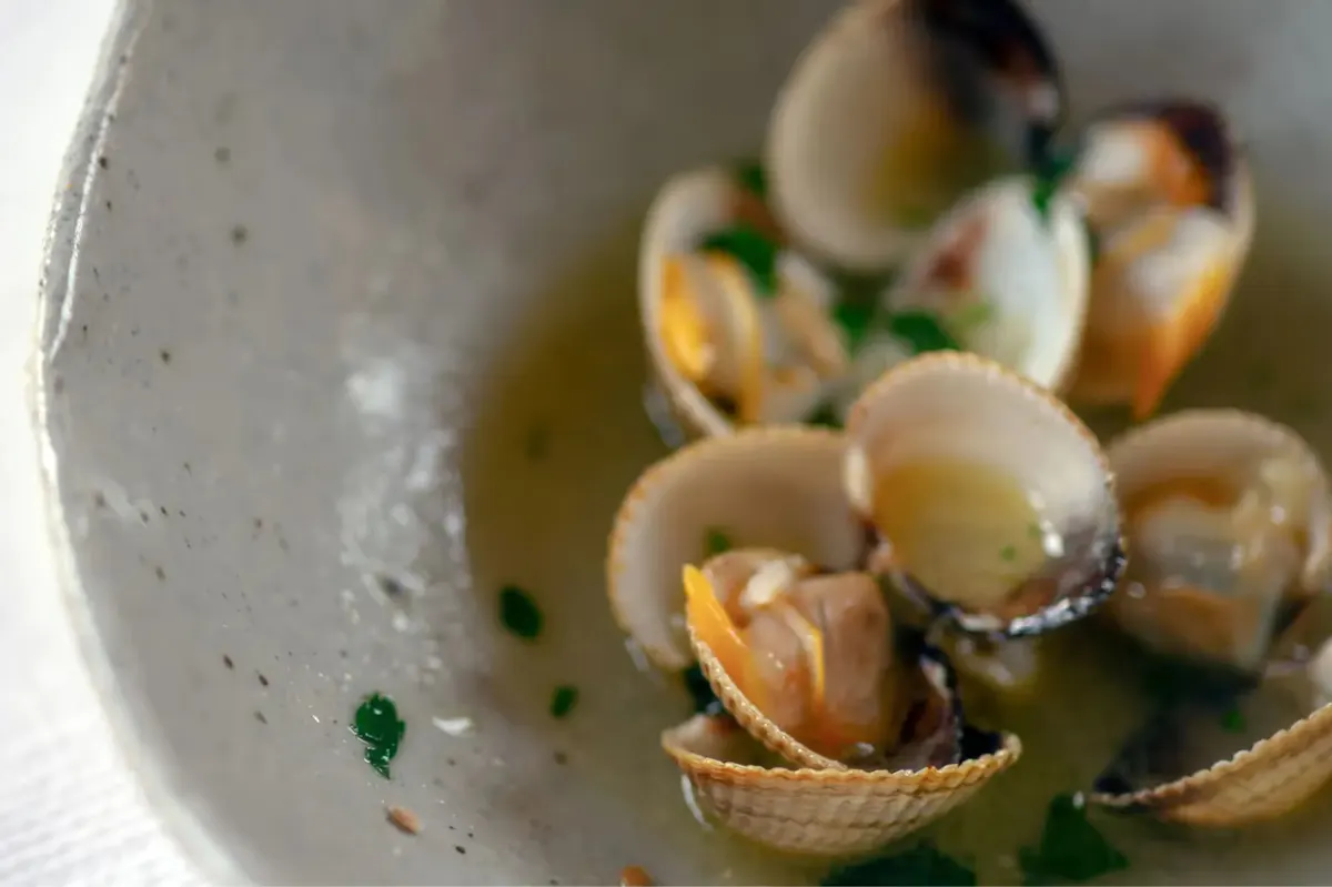 Plated appetizer of clams in broth garnished with herbs in white ceramic bowl