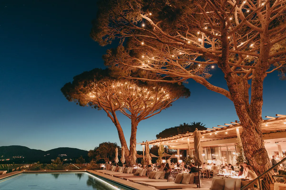 Outdoor dining area beneath umbrella pines at twilight with sea in distance