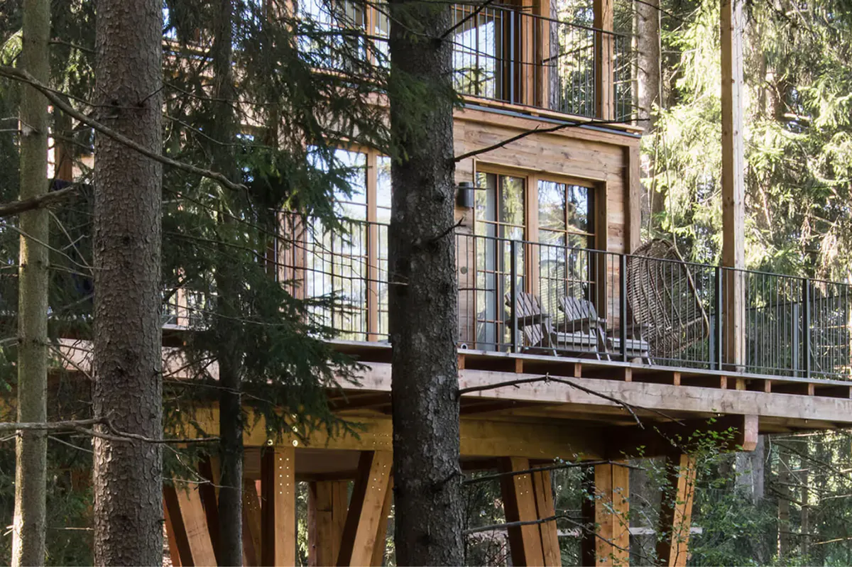 Wooden treehouse among tall trees in the forest