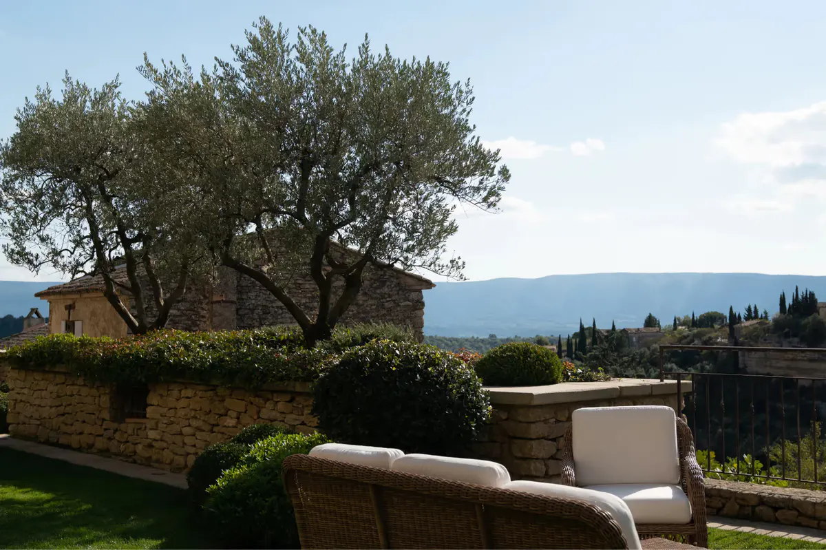 Ancient olive tree in courtyard with stone walls and terrace seating
