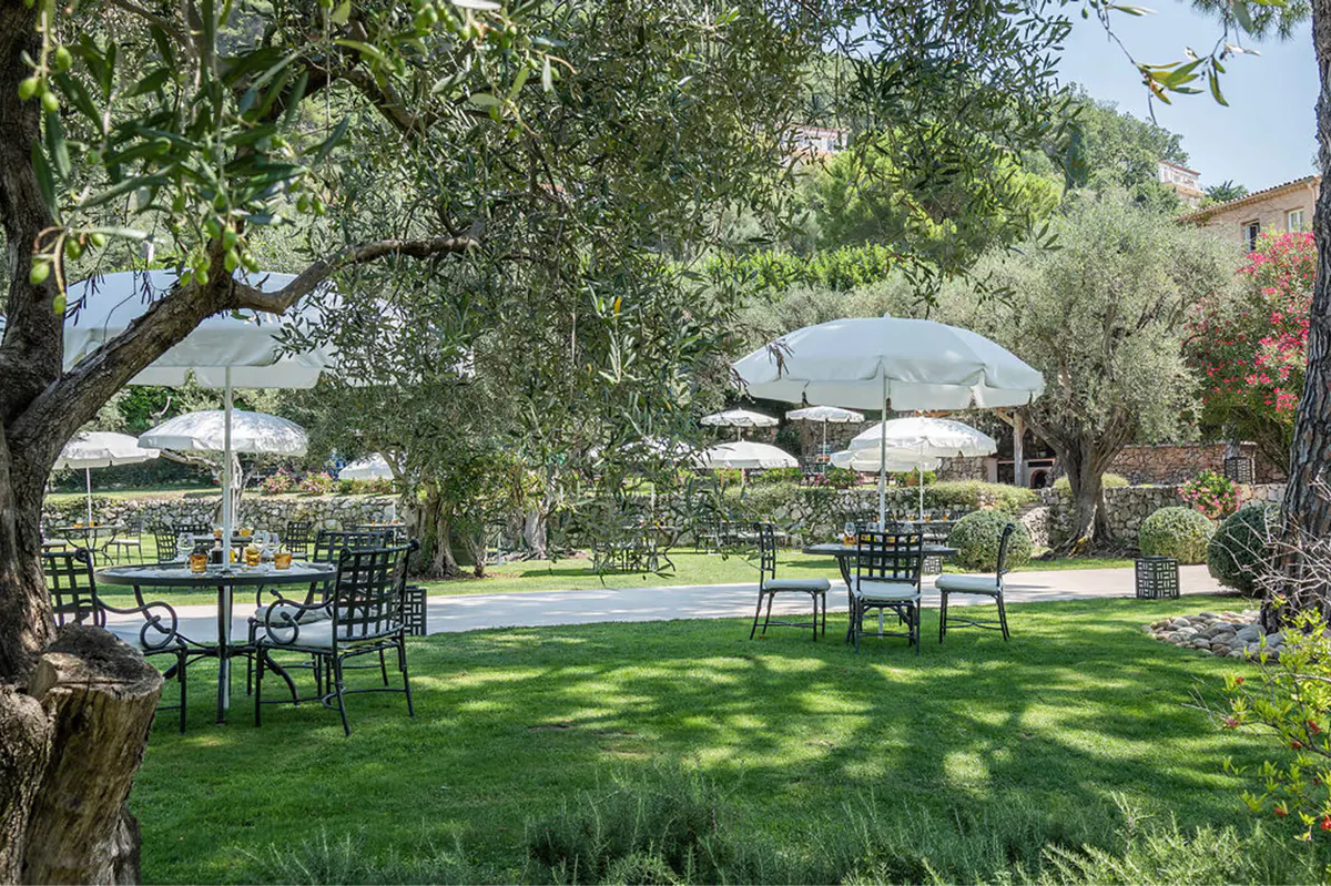 Grounds with pool, shaded seating, and ancient olive trees under blue sky