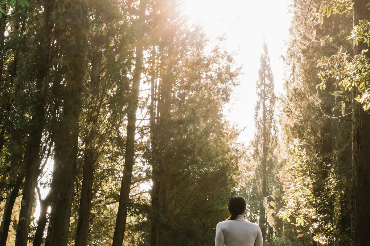 A person walking among cypress and oak trees with golden afternoon light filtering through branches