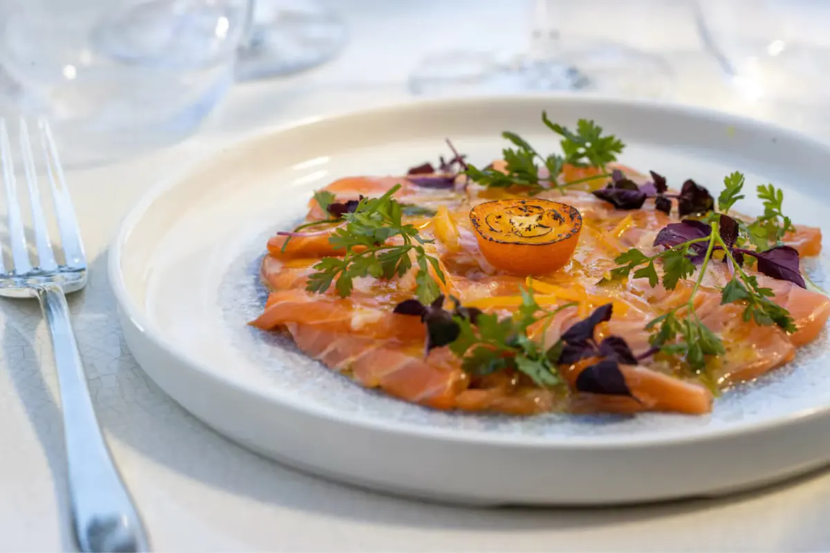 Plated dish with coral-colored ceviche and microgreens