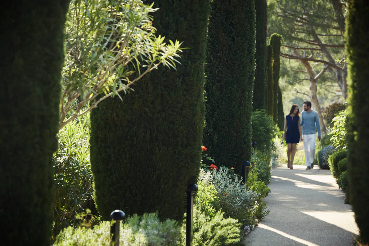 Cypress-lined garden pathway with filtered light and figures walking