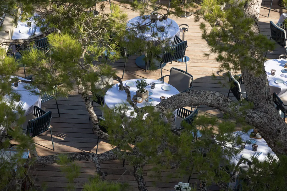 An overhead view of a restaurant terrace with tables shaded by trees overlooking the coast