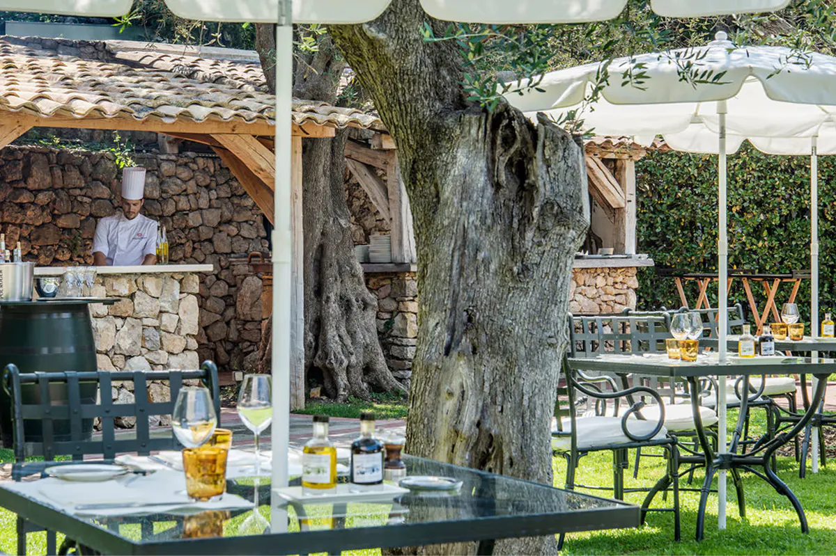 Shaded outdoor dining beneath historic olive trees with white umbrellas