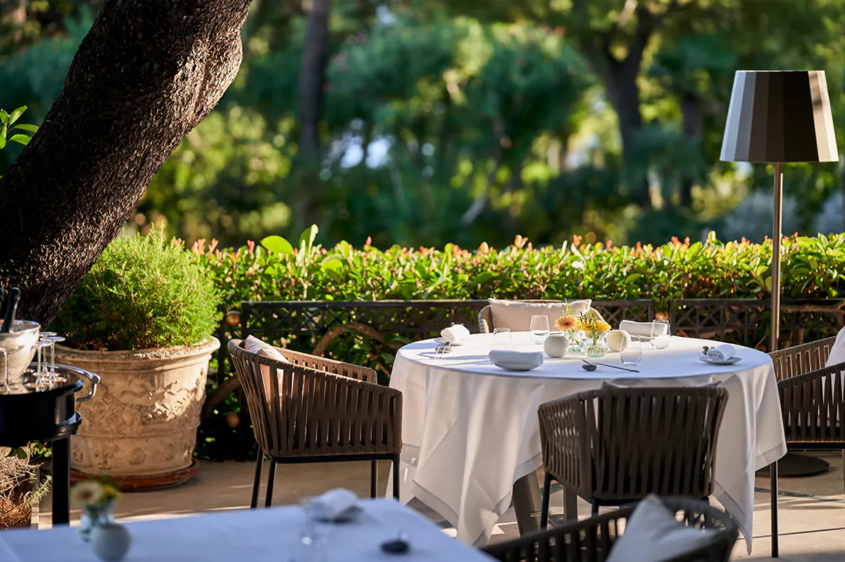 Intimate outdoor table beneath ancient oak trees in Mediterranean gardens
