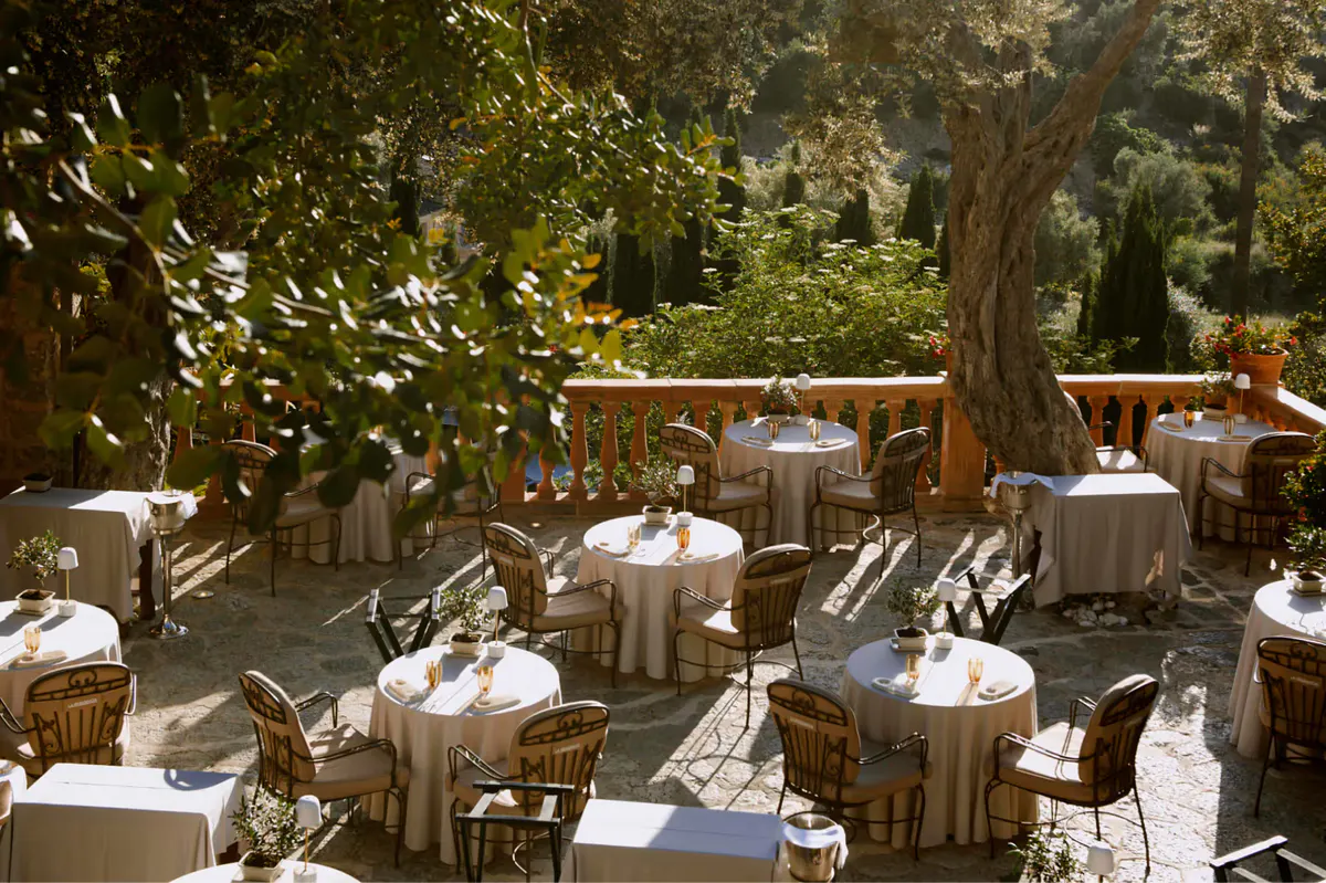 Shaded outdoor dining terrace with round tables, white linens, and tall trees overhead
