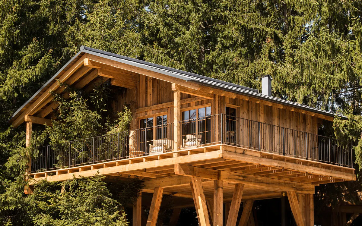 Treehouse with wooden railings elevated among dense forest
