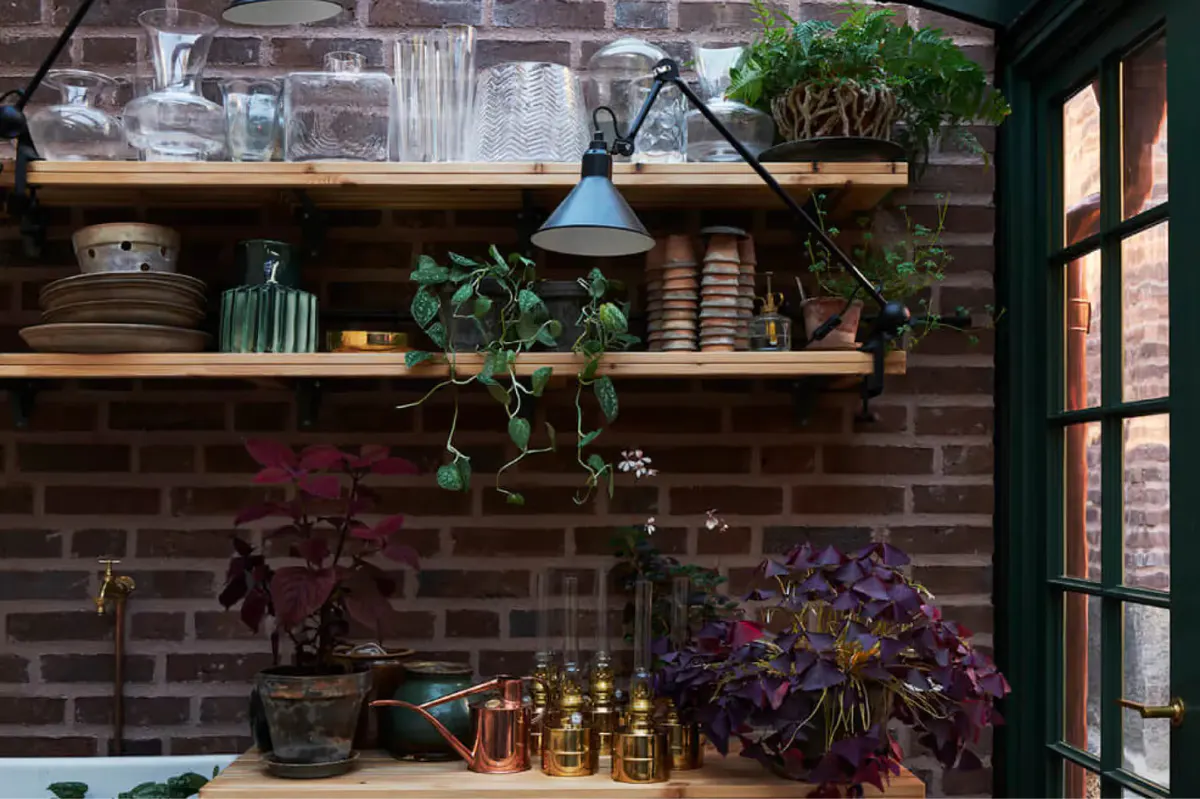 A garden shelf display with plants in terra cotta pots and dark foliage in background